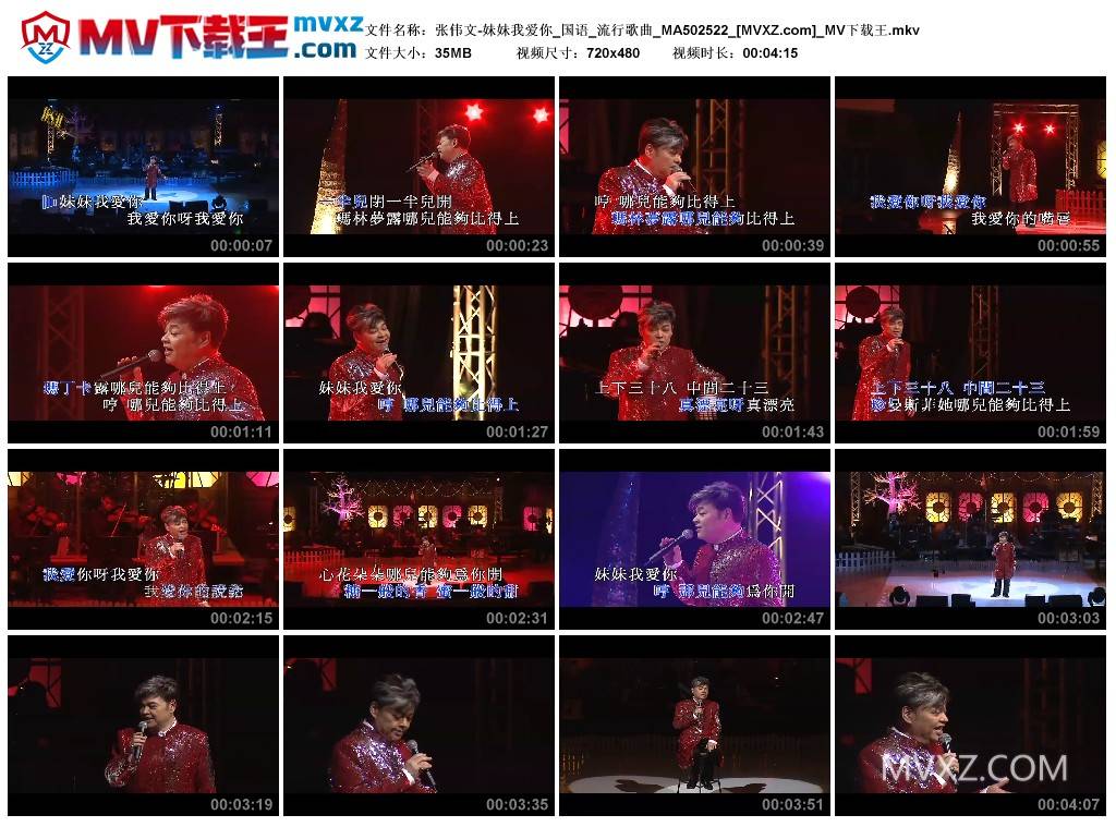 张伟文-妹妹我爱你_国语_流行歌曲_MA502522